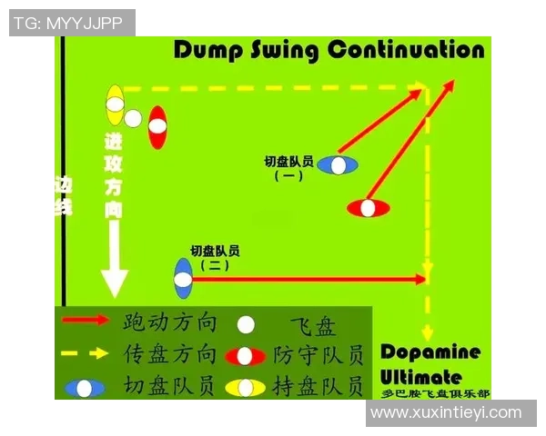 重庆飞盘队战术解析与实战应用的深度探讨与思考